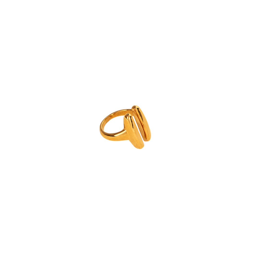 Axion Ring